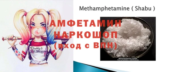 индика Аркадак