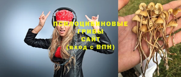 2c-b Балабаново