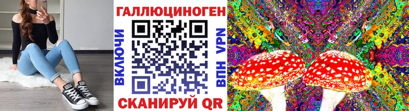 Галлюциногенные грибы GOLDEN TEACHER  кракен зеркало  Трубчевск 